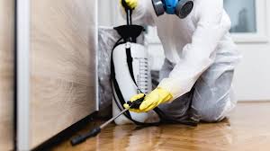 Emergency Pest Control in Sweetwater, TX